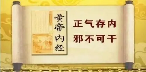 皇帝内经学习